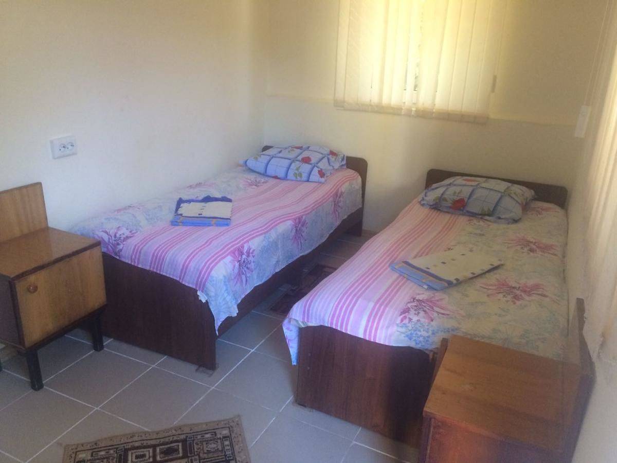 Фотографии номера Двухместный номер с 2 отдельными кроватями, вид на сад в Гостевом доме Гостевой дом Южная Пальмира Пицунда